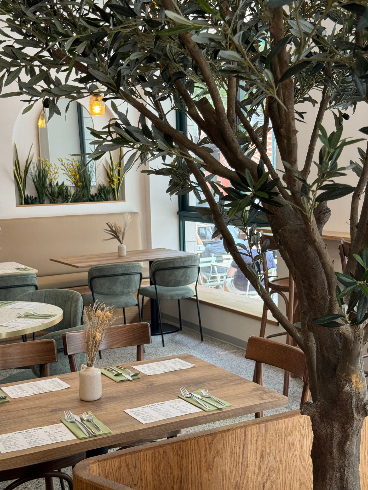 Intérieur chaleureux d’un coffee shop à Saint-Jean-de-Luz avec grand olivier, mobilier bois et ambiance végétale